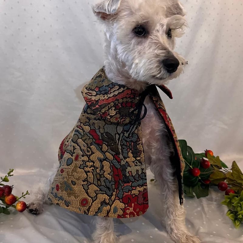 Jacquard Cape, for your dog