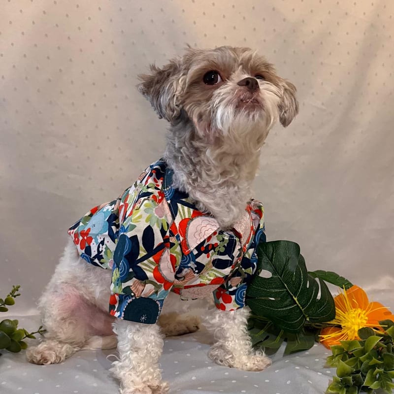 Floral
