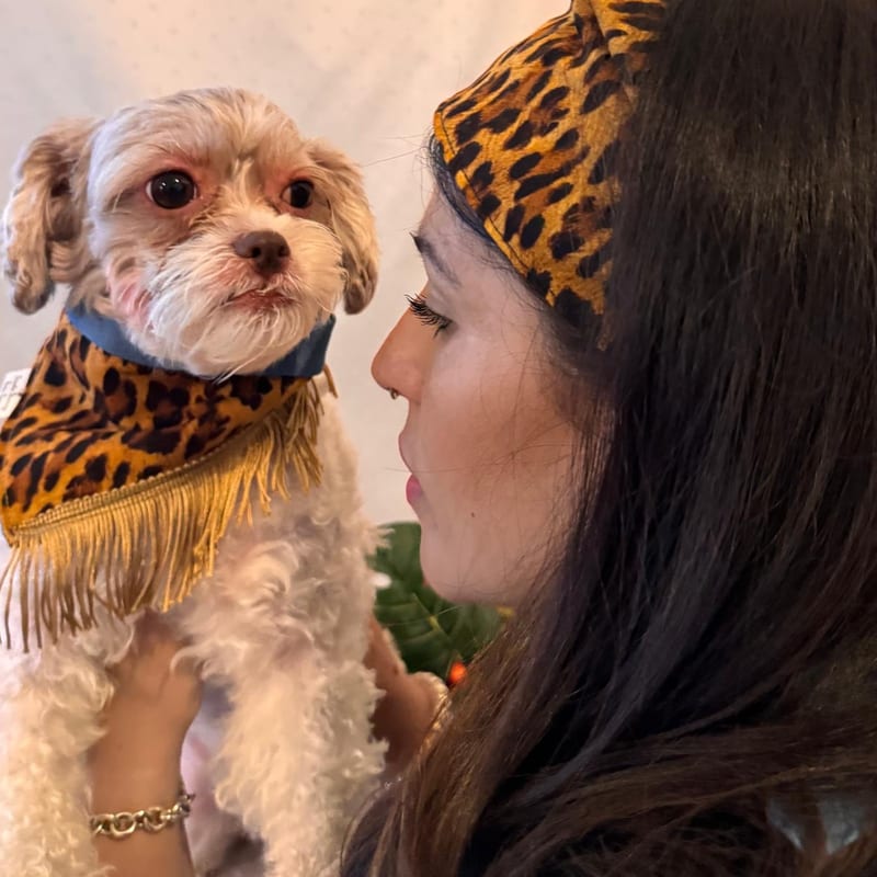 Leopard Any-Way Wrap, for you