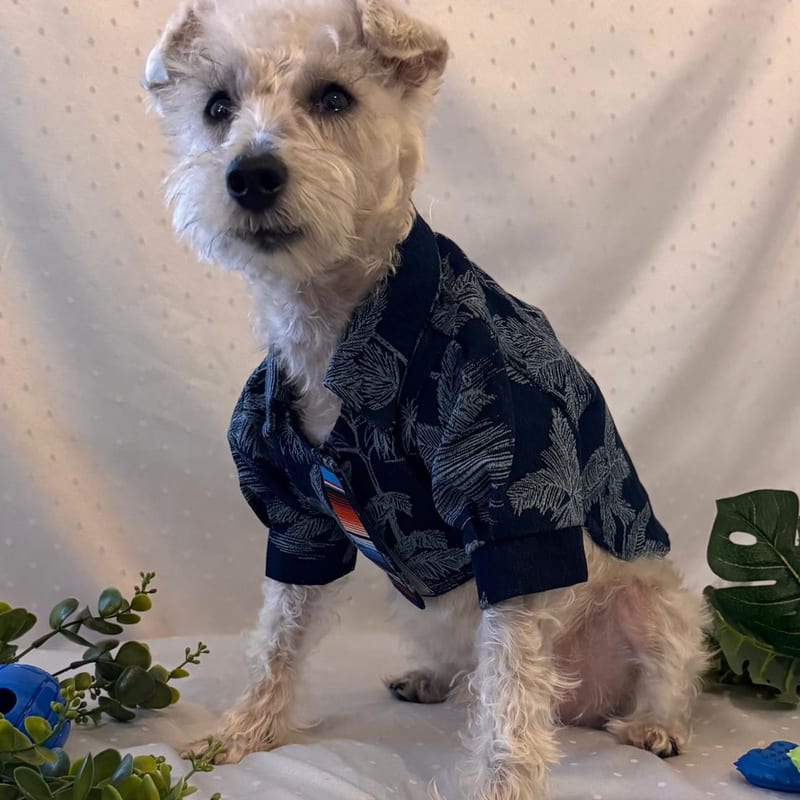 Palm Tree Shirt, for your dog