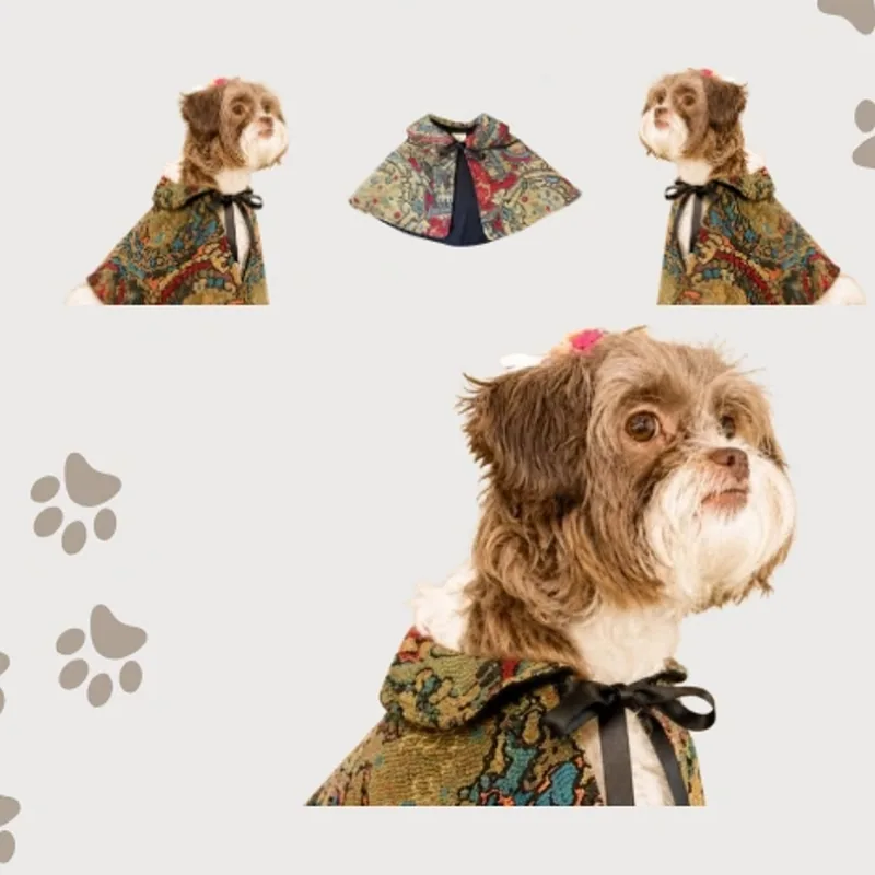 Un perro pequeño con la capa de jacquard